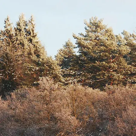 Mazurja Ruciane-Nida