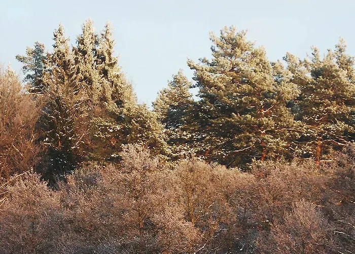 Mazurja Ruciane-Nida